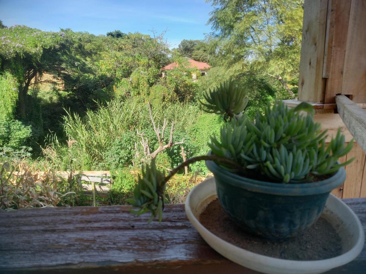 Emmy'S Backpackers Hostel Iringa Ngoại thất bức ảnh