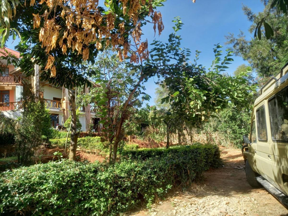 Emmy'S Backpackers Hostel Iringa Ngoại thất bức ảnh